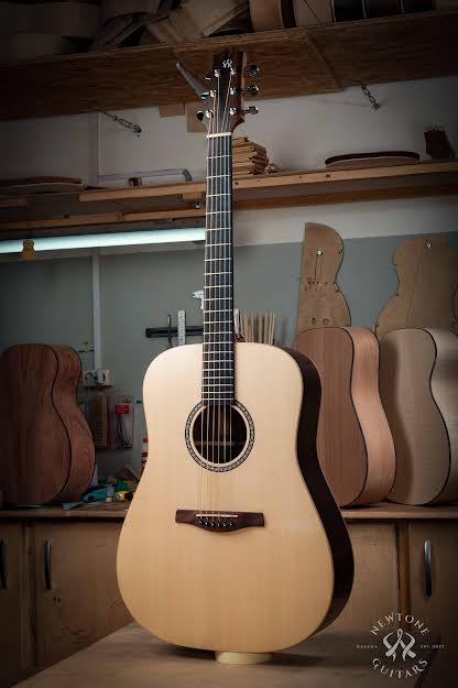 Фото Акустическая гитара NewTone D RW 43 кейс в комплекте