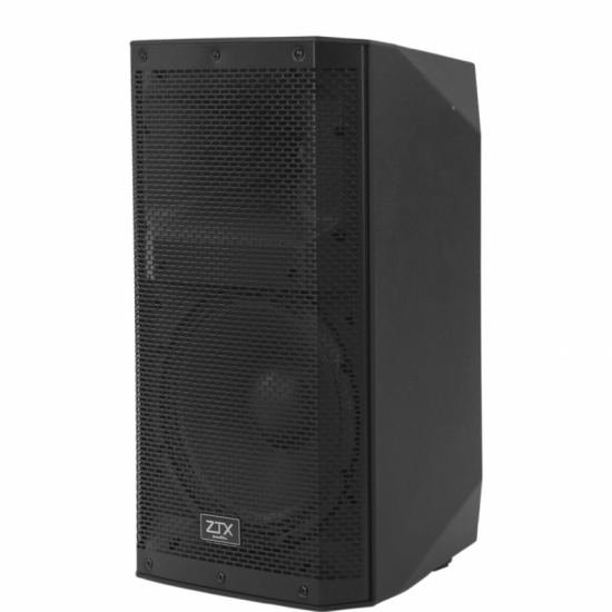 Фото Пассивная акустическая система ZTX audio RX-112P