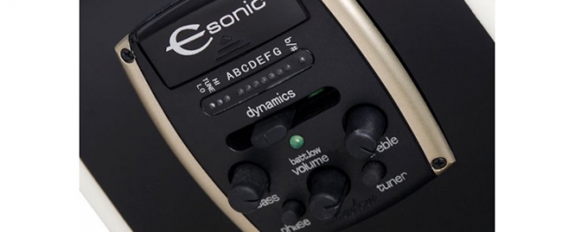 Фото EPIPHONE Dave Navarro Jane Ebony