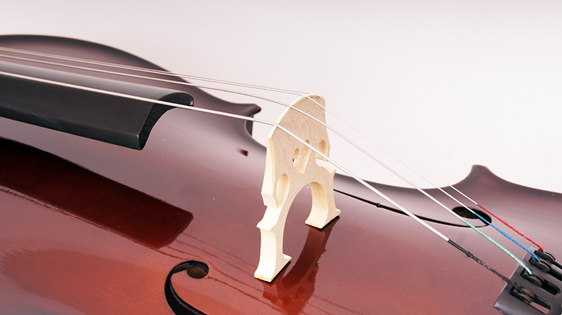 Фото Виолончель 1/2, с чехлом и смычком Caraya MC760R-1/2