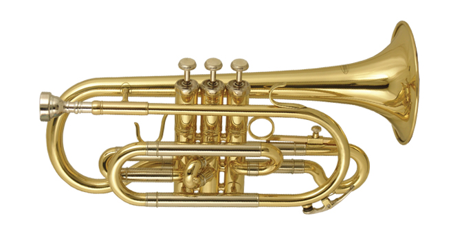 Фото Эфониум WISEMANN DEU-600