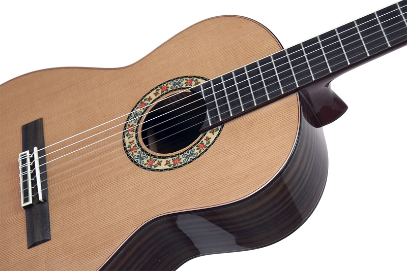 Фото Классическая гитара  Dowina Rioja C