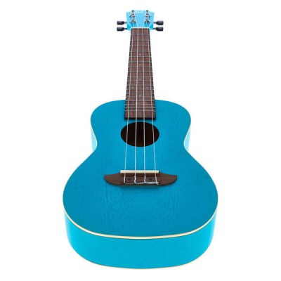 Фото Ortega RULAGOON Earth Series