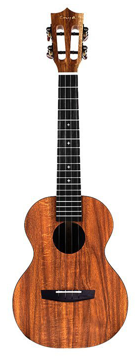 Фото Enya EUT-X1