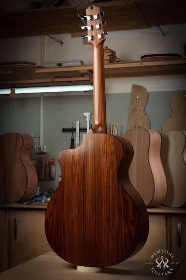 Фото Акустическая гитара NewTone TORNADO GA N C кейс в комплекте