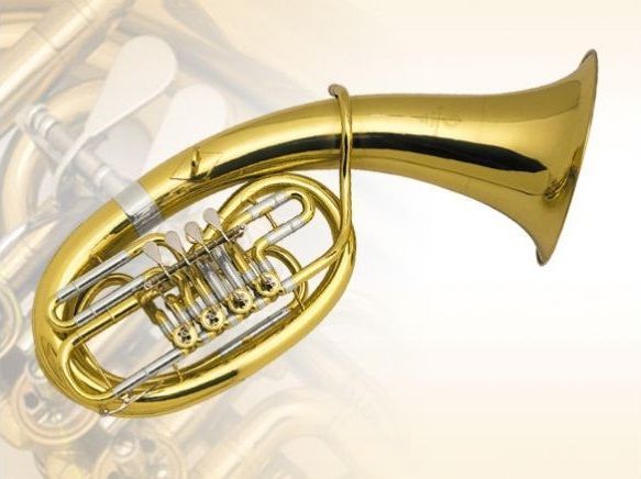 Фото Баритон ZDMI 315GL/3