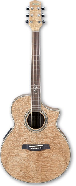 Фото Акустическая гитара Ibanez EW20ASE NT