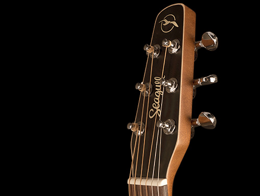 Фото Seagull Entourage Natural Spruce CW QIT Электроакустическая гитара 