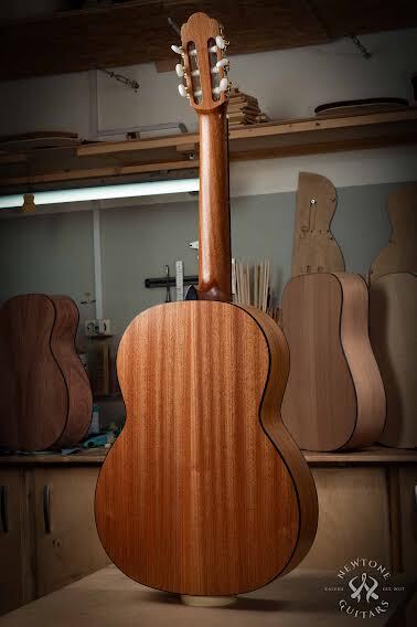 Фото Классическая гитара NewTone Lantana N