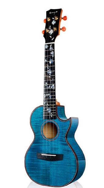 Фото Enya EUC-Flower