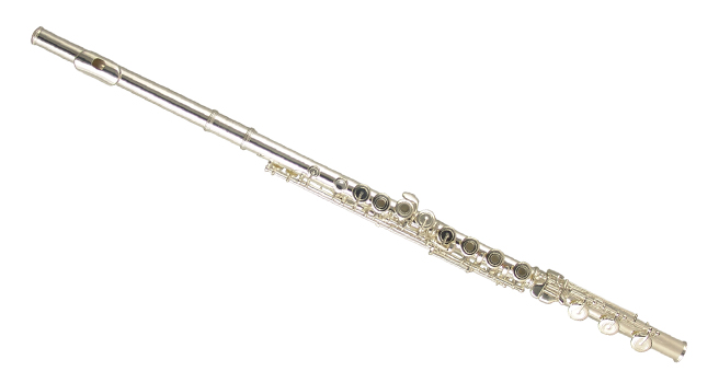 Фото Флейта WISEMANN DFL-480