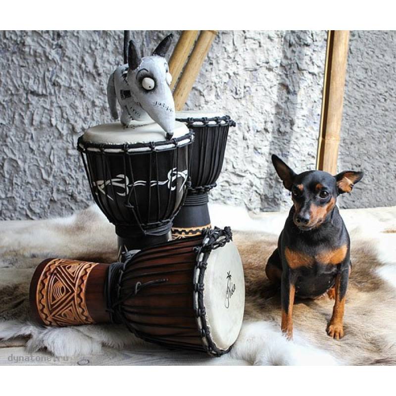 Фото YUKA DJWN08-16BK3 - Джембе с верёвочной настройкой Юка