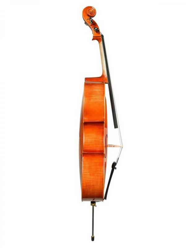 Фото ANDREW FUCHS CL-200L размер 1/2