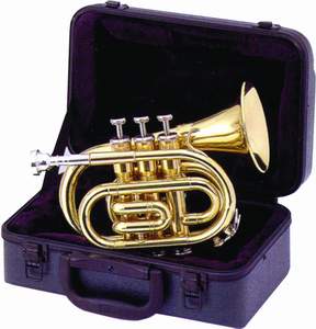 Фото Труба pocket Bb J.Michael TR-350PL