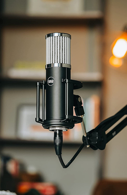 Фото Микрофон 512 Audio Skylight