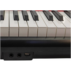 Цифровое пианино ARAMIUS APH-110 BK