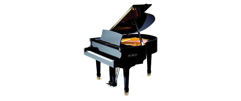 Фото Petrof PE 159 Bora DCH(0801)