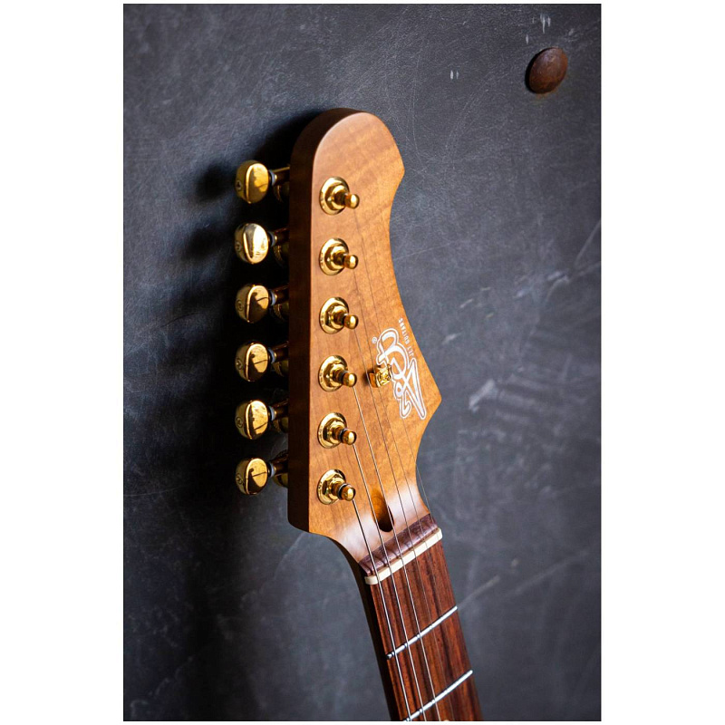 Фото Электрогитара JET JS-480 WR G