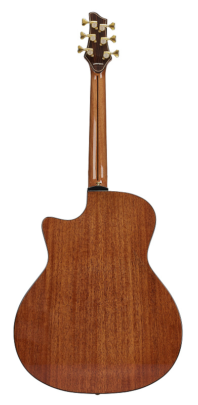 Фото Электроакустическая гитара NG AM411SCE NA