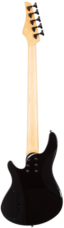 Фото Бас гитара Schecter C-5 STANDARD TB