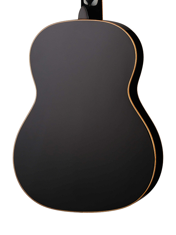 Фото Классическая гитара Ortega R221SNBK Family Series  