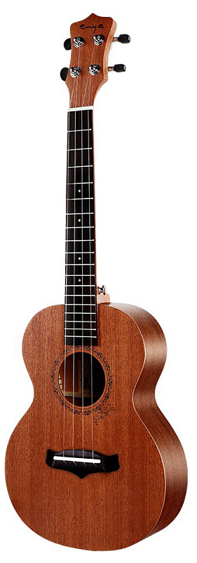 Фото Enya EUT-20