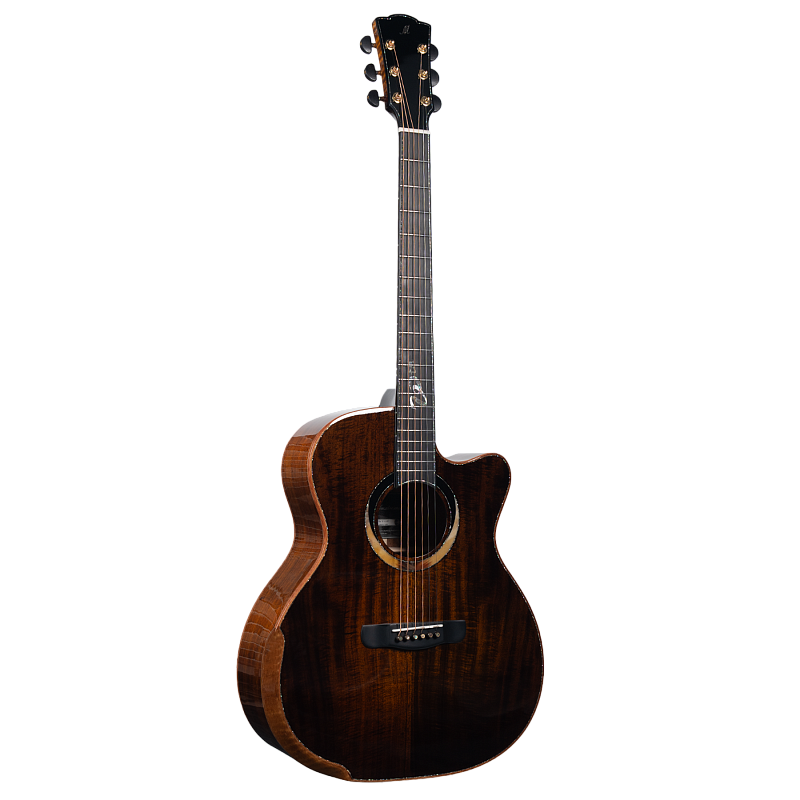 Фото Гитара акустическая Meridaextrema Gloria V-GAC с чехлом