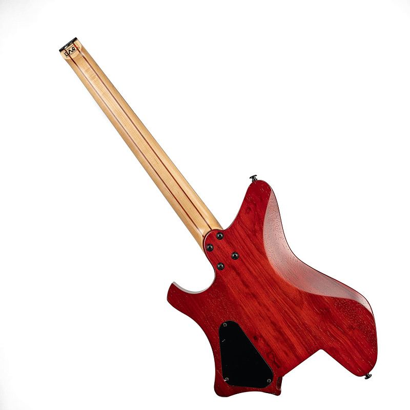 Фото Электрогитара EART GW2 Black