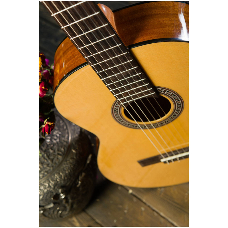 Фото Классическая гитара FLIGHT C-120 NA 