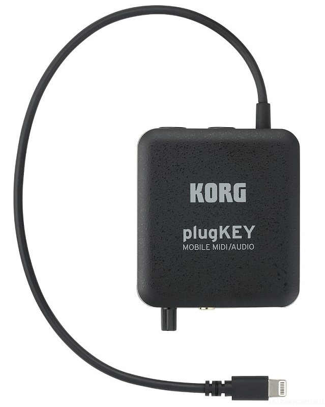 Фото KORG plugKEY-BK