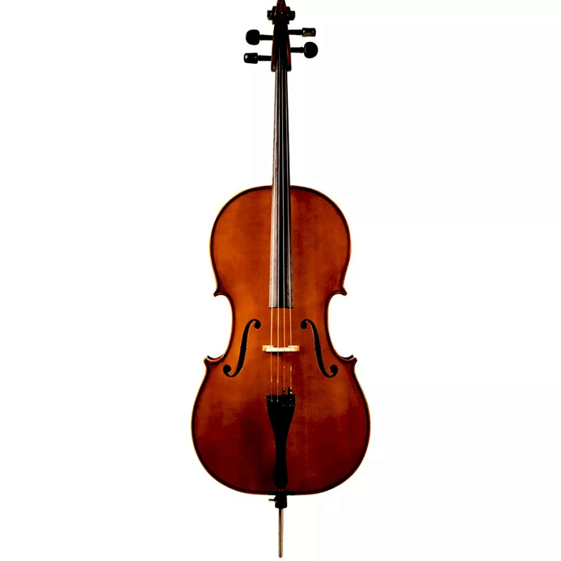 Фото Виолончель Strunal 4/4we-4/4
