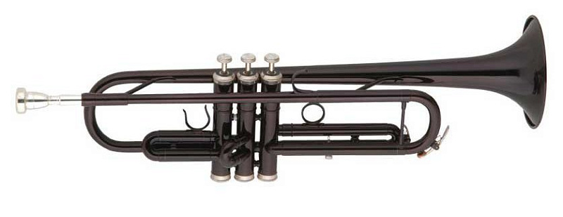 Фото BOSTON TROMBA PTR-01/BK