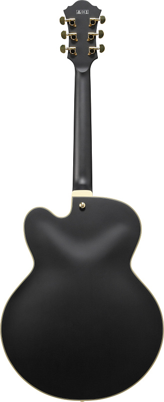 Фото Электрогитара IBANEZ AF75G-BKF
