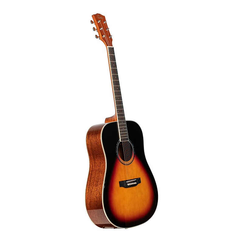 Фото Акустическая гитара Omni D-220 VS
