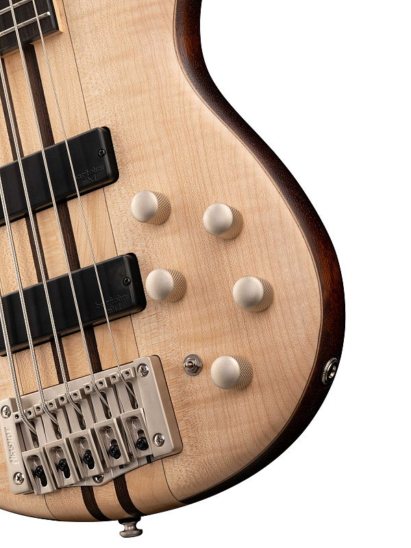 Фото Бас-гитара Cort A5-Plus-FMMH-OPN Artisan Series 