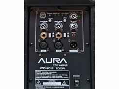 Комплект караоке EVO Icon 8 Classic