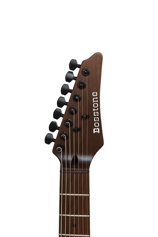Фото Электрогитара Bosstone SEG STR6 BL