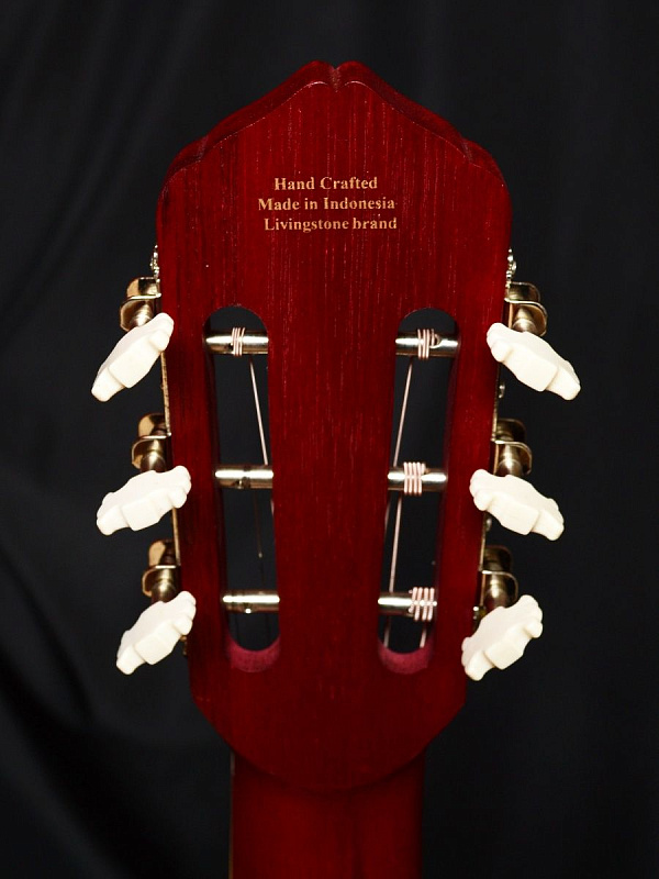 Фото Гитара Livingstone Folkblues RD 39"с вырезом