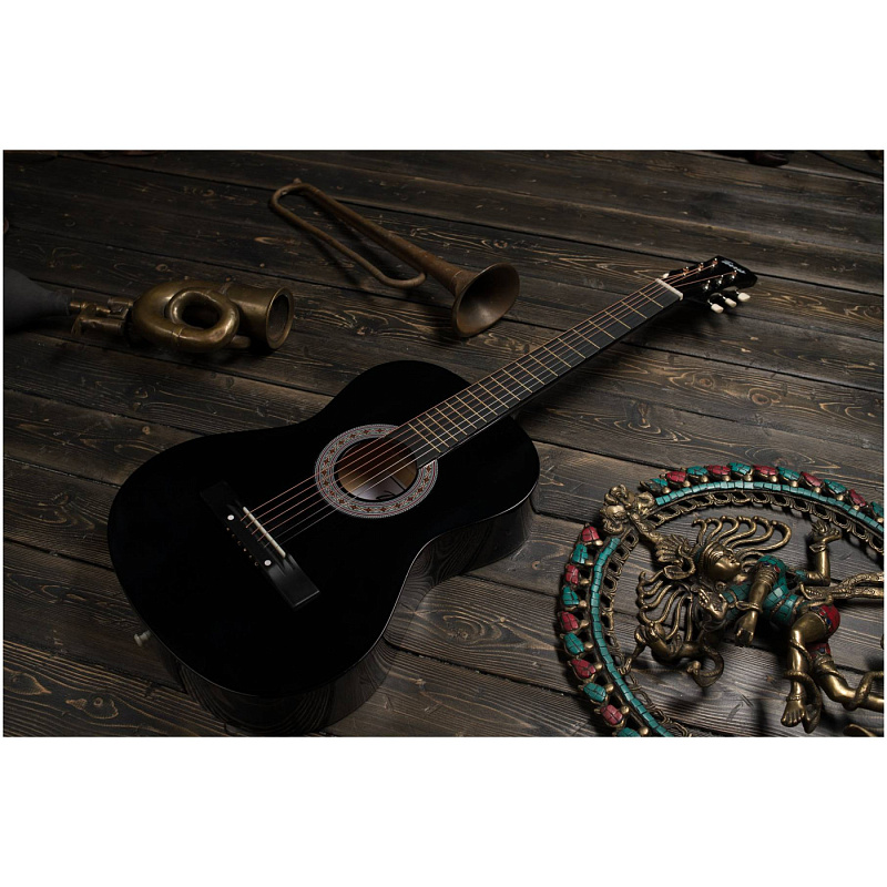 Фото Акустическая гитара TERRIS TF-3802A BK