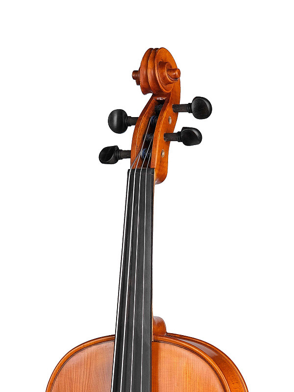 Фото Альт Gliga S-V165 Student Genial 1 Oil