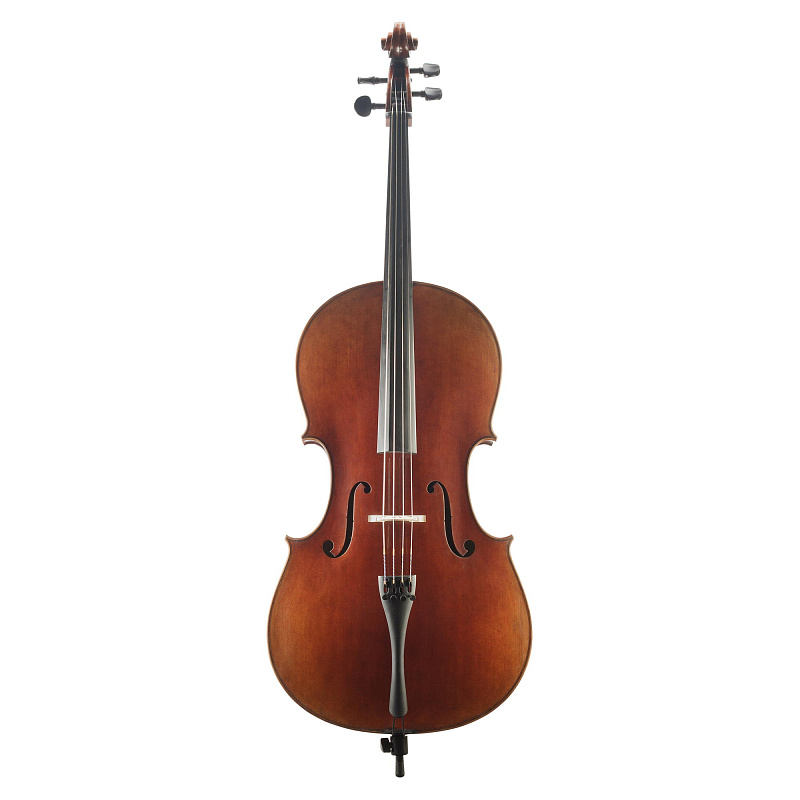 Фото Goronok Николай Петров 4/4 760 мм Виолончель