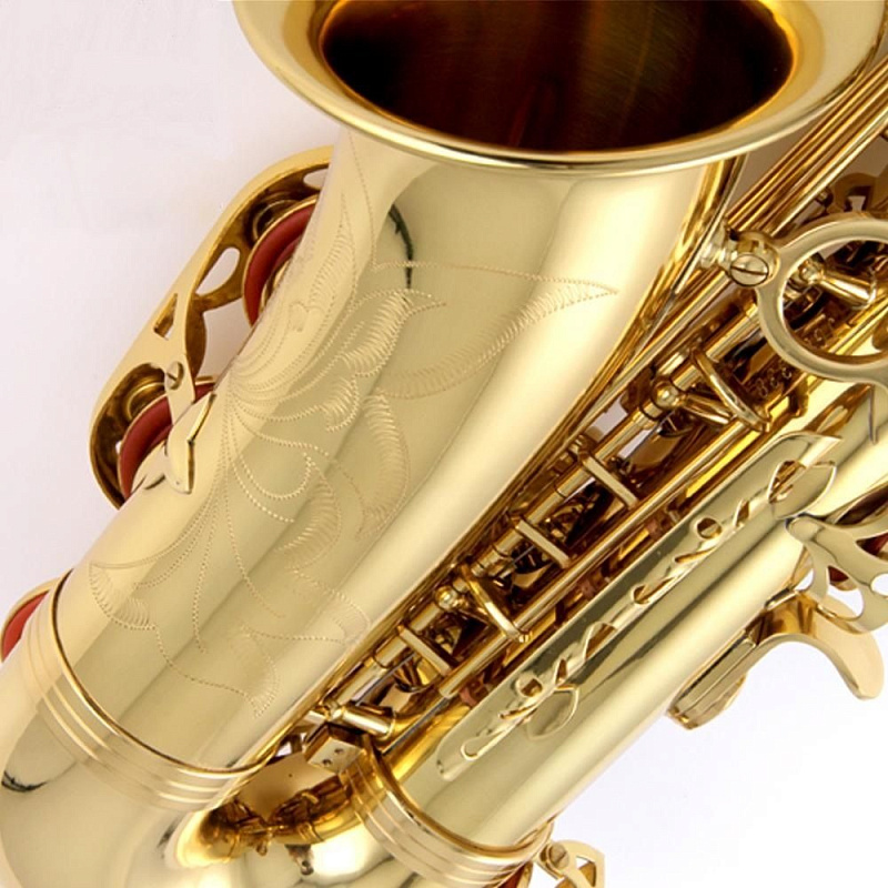 Альт-саксофон Stephan Weis AS-100G в магазине Music-Hummer