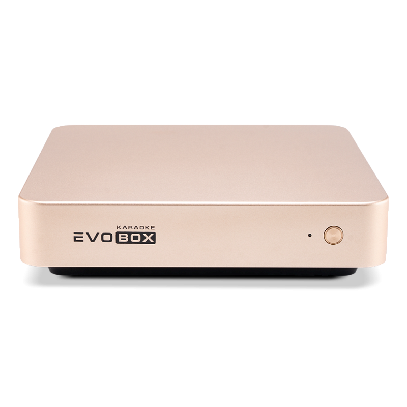 Фото Караоке система Evolution EVOBOX Gold