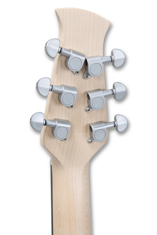 Фото Гитара акустическая APPLAUSE AAS69-O Peach