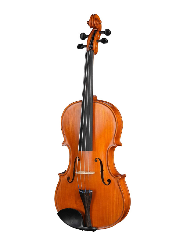 Фото Альт Gliga S-V165 Student Genial 1 Oil