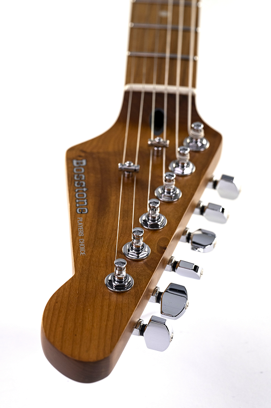 Фото Электрогитара Bosstone SEG-04 BK