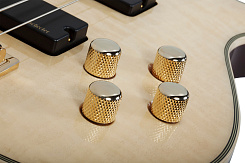 Бас гитара Schecter OMEN EXTREME-5 GNAT