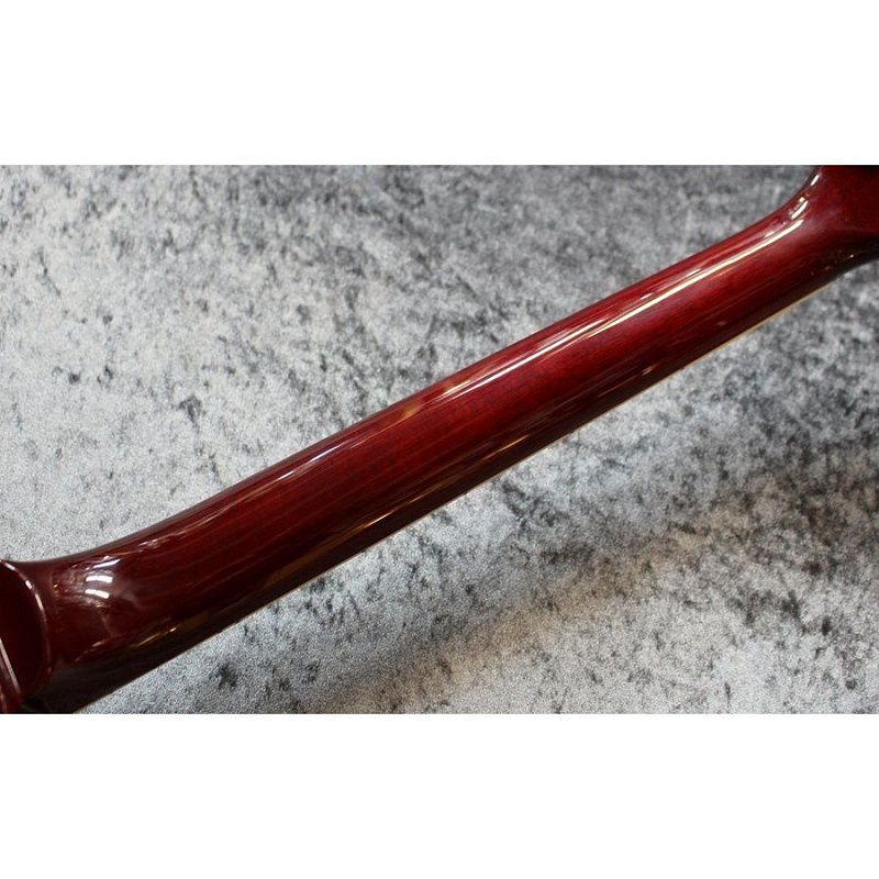 Фото Электрогитара с чехлом FGN NLS10GMP FCB