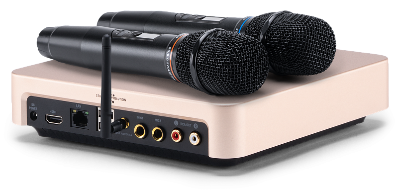 Фото Караоке система Evolution EVOBOX Plus GOLD