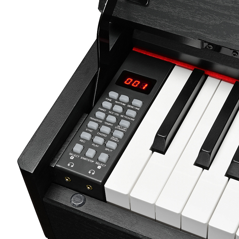 Фото Цифровое фортепиано EMILY PIANO D-52 BK